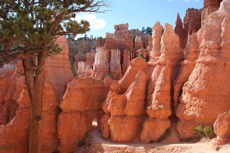brice canyon